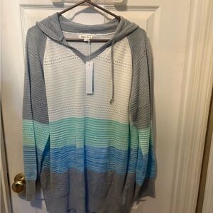 Blue Ombre Hooded Knit Top by Eden & Olivia